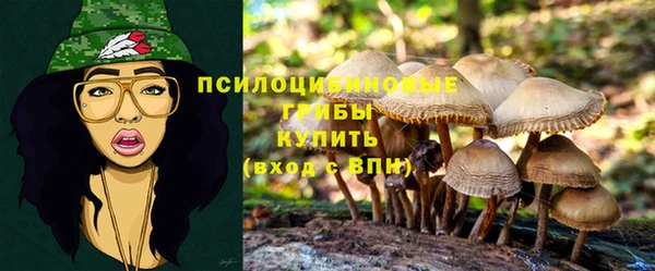 прущая мука Абдулино